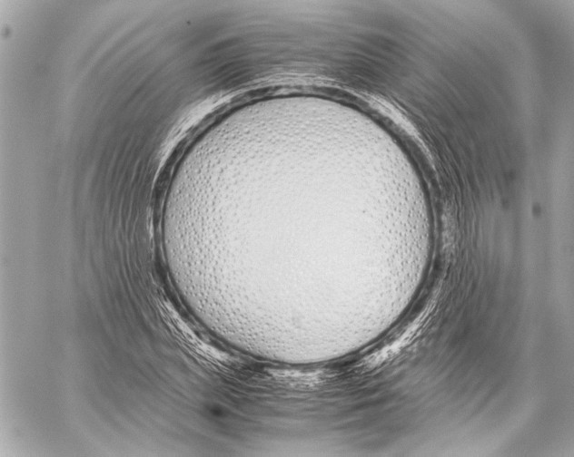 X0000057060831200510071404