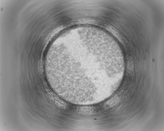 X0000057060832200510071404