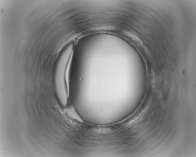 X0000057060833200510071404