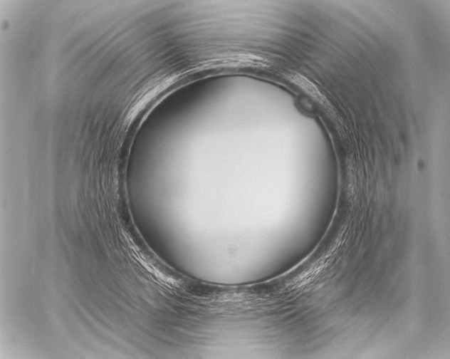 X0000057060834200510071404