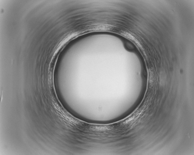 X0000057060835200510071404