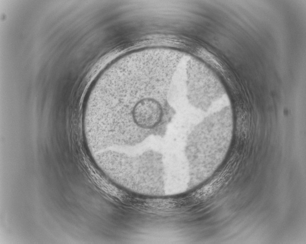 X0000057060836200510071404