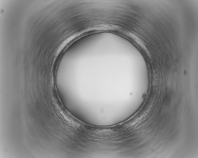 X0000057060837200510071404