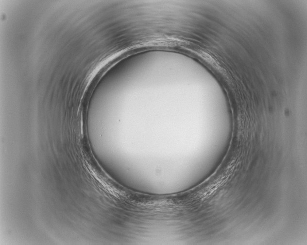 X0000057060838200510071404