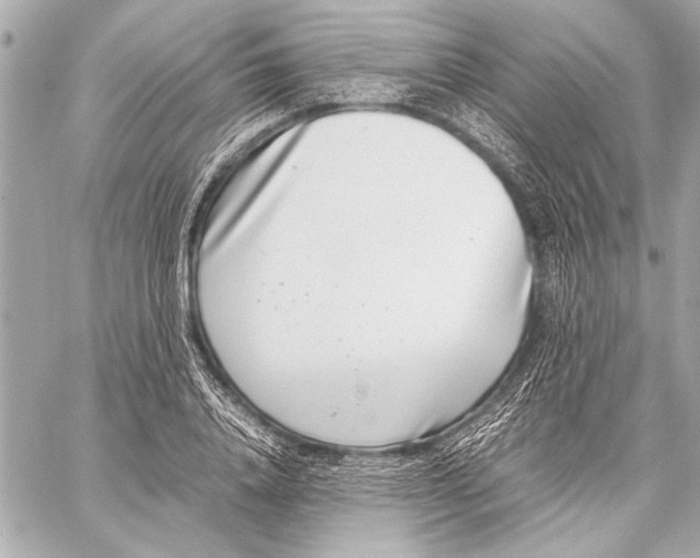 X0000057060840200510071404