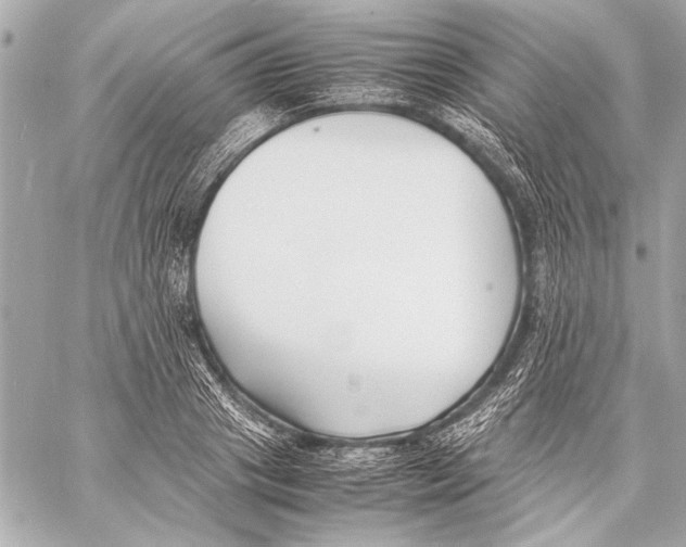 X0000057060841200510071404