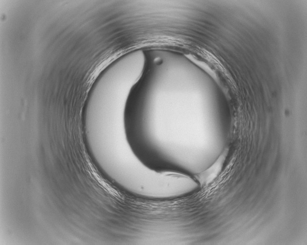 X0000057060842200510071404