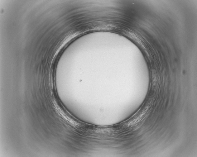 X0000057060843200510071404