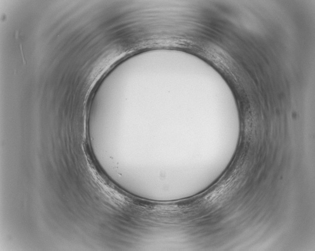 X0000057060844200510071404