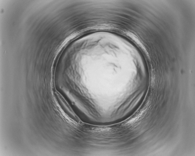 X0000057060845200510071404