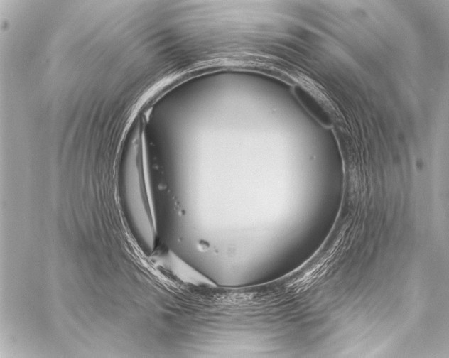 X0000057060846200510071404