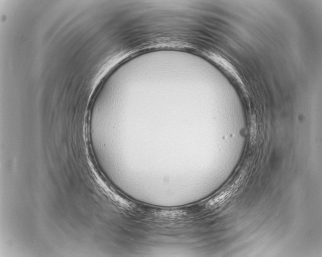 X0000057060847200510071404