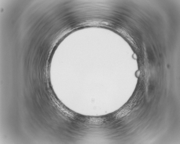 X0000057060848200510071404