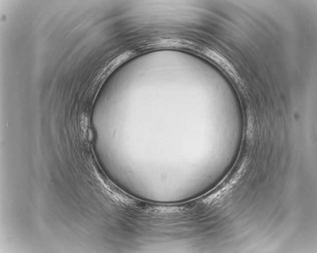 X0000057060849200510071404