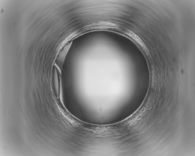 X0000057060850200510071405