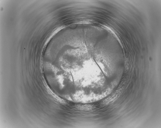 X0000057060851200510071405