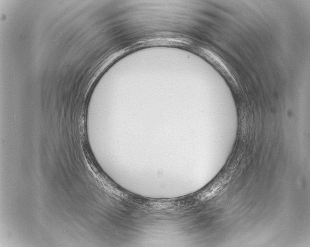 X0000057060852200510071405