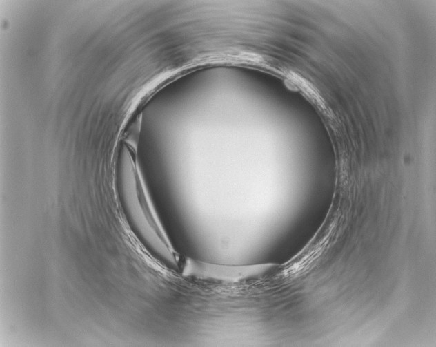 X0000057060854200510071405