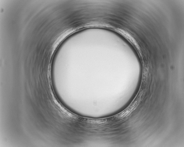 X0000057060855200510071405