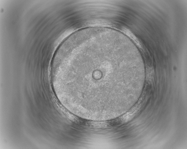 X0000057060856200510071405