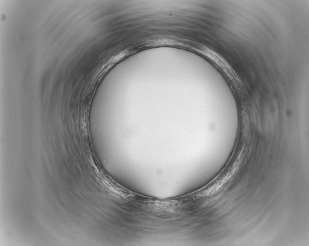 X0000057060857200510071405