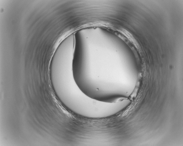 X0000057060858200510071405