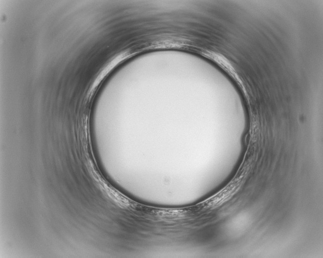 X0000057060859200510071405