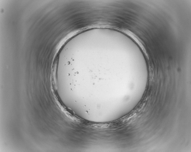 X0000057060861200510071405