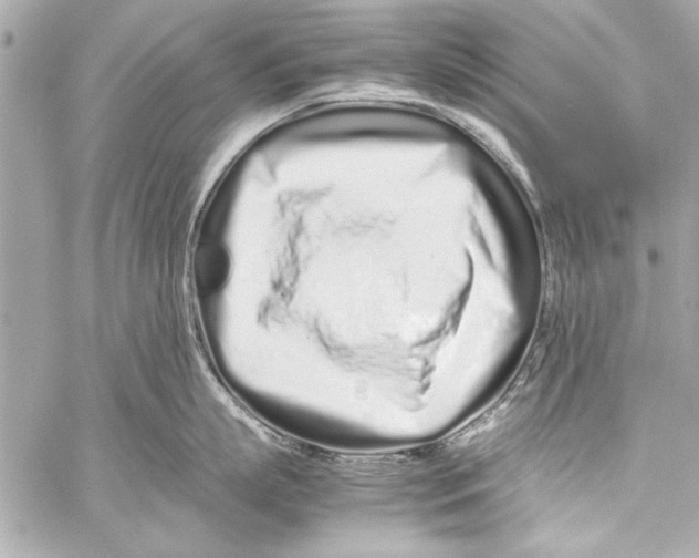 X0000057060863200510071405