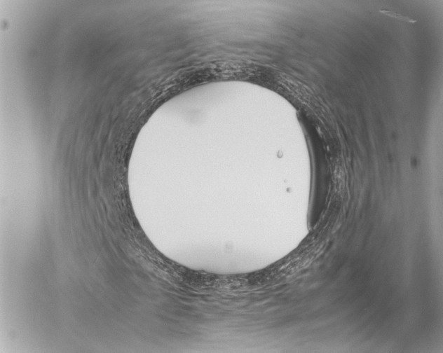 X0000057060865200510071404