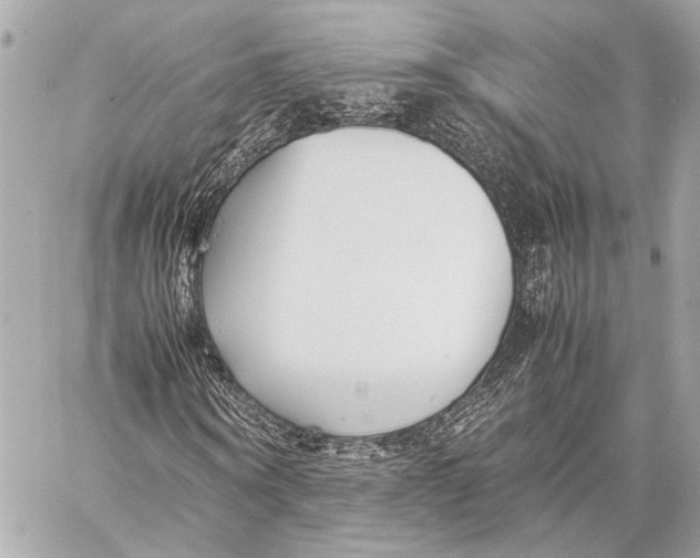 X0000057060866200510071404