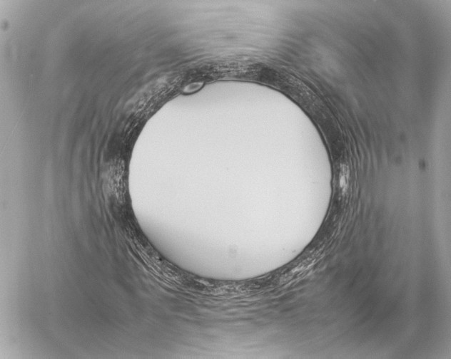 X0000057060867200510071404