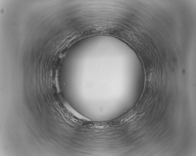 X0000057060868200510071404