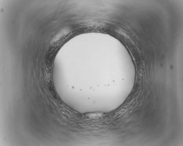 X0000057060869200510071404