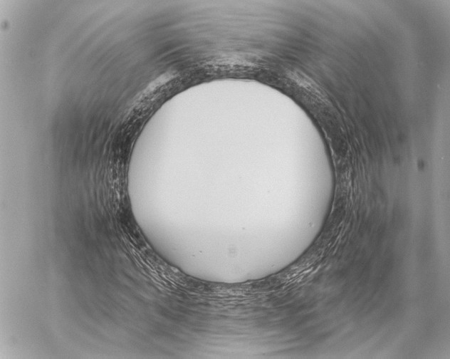 X0000057060870200510071404