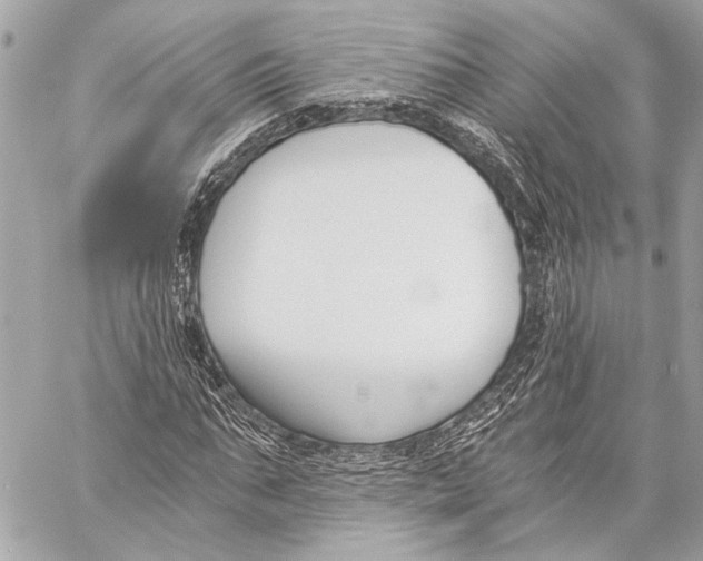 X0000057060871200510071404