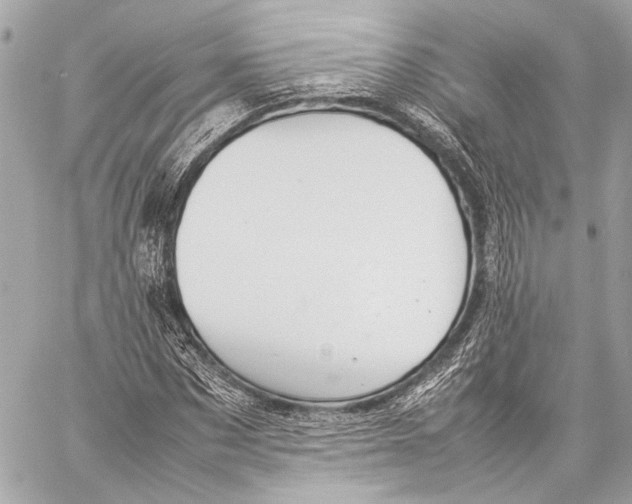 X0000057060873200510071404