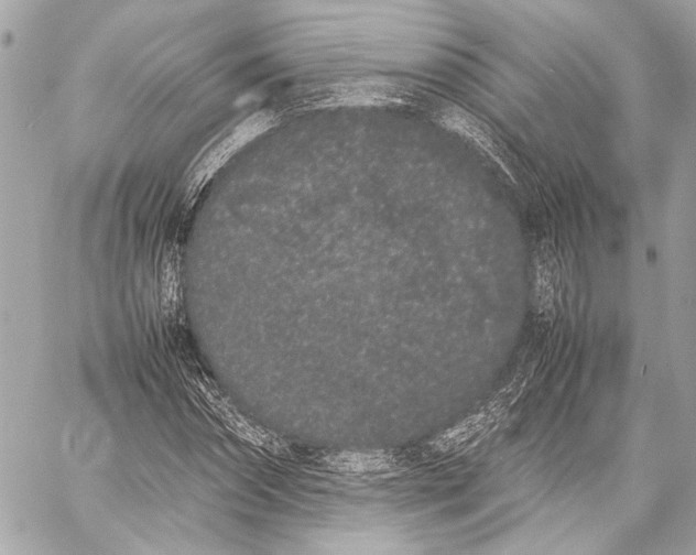 X0000057060874200510071404