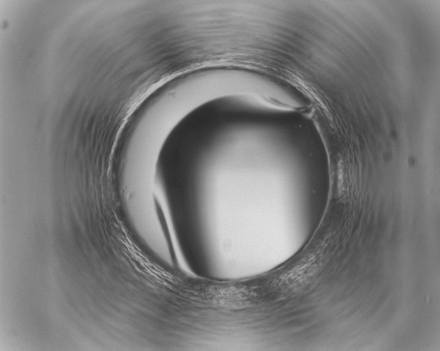 X0000057060876200510071404