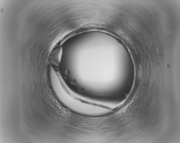 X0000057060877200510071404