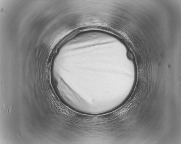 X0000057060879200510071404