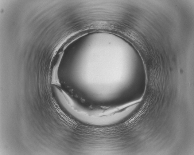 X0000057060880200510071404