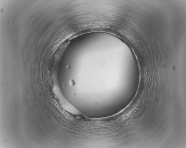 X0000057060881200510071404