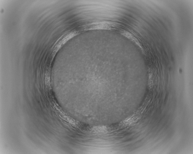 X0000057060882200510071404