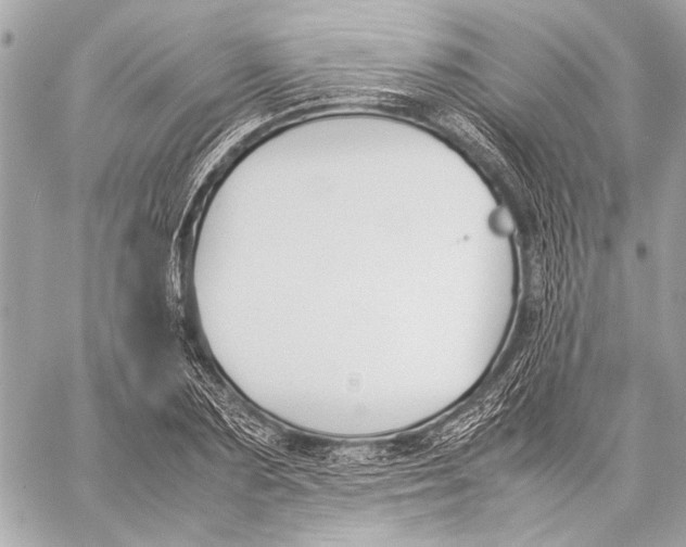 X0000057060883200510071404