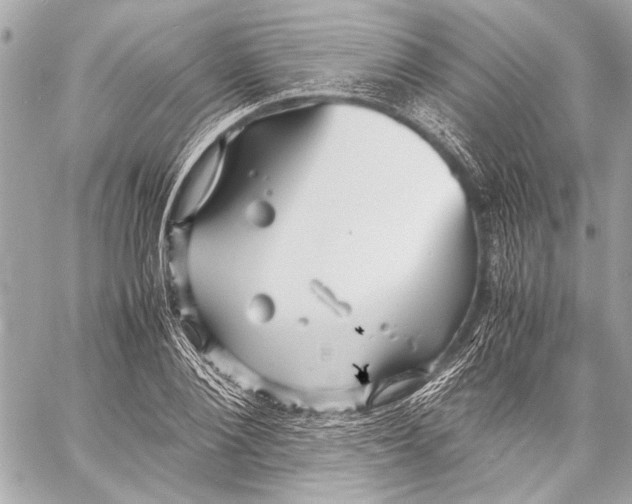 X0000057060884200510071404