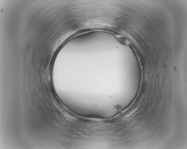 X0000057060885200510071404