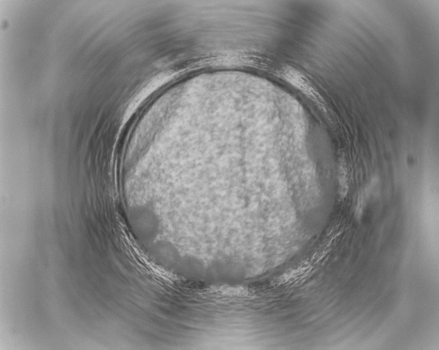 X0000057060886200510071404