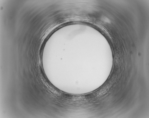 X0000057060887200510071404