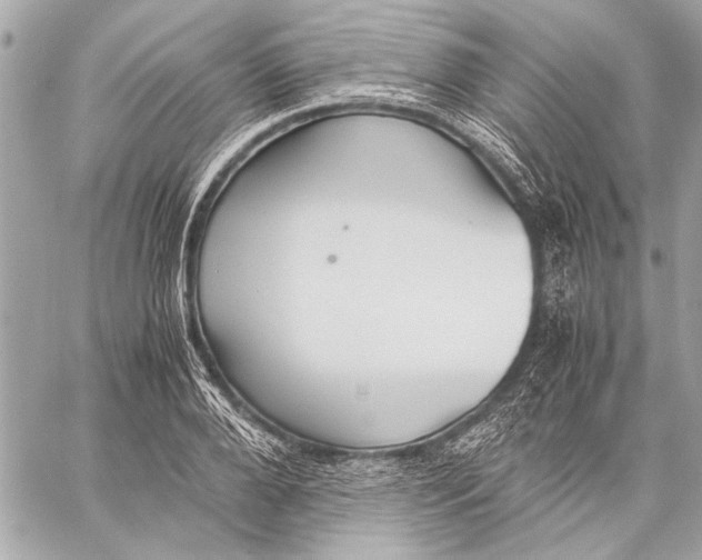 X0000057060888200510071404